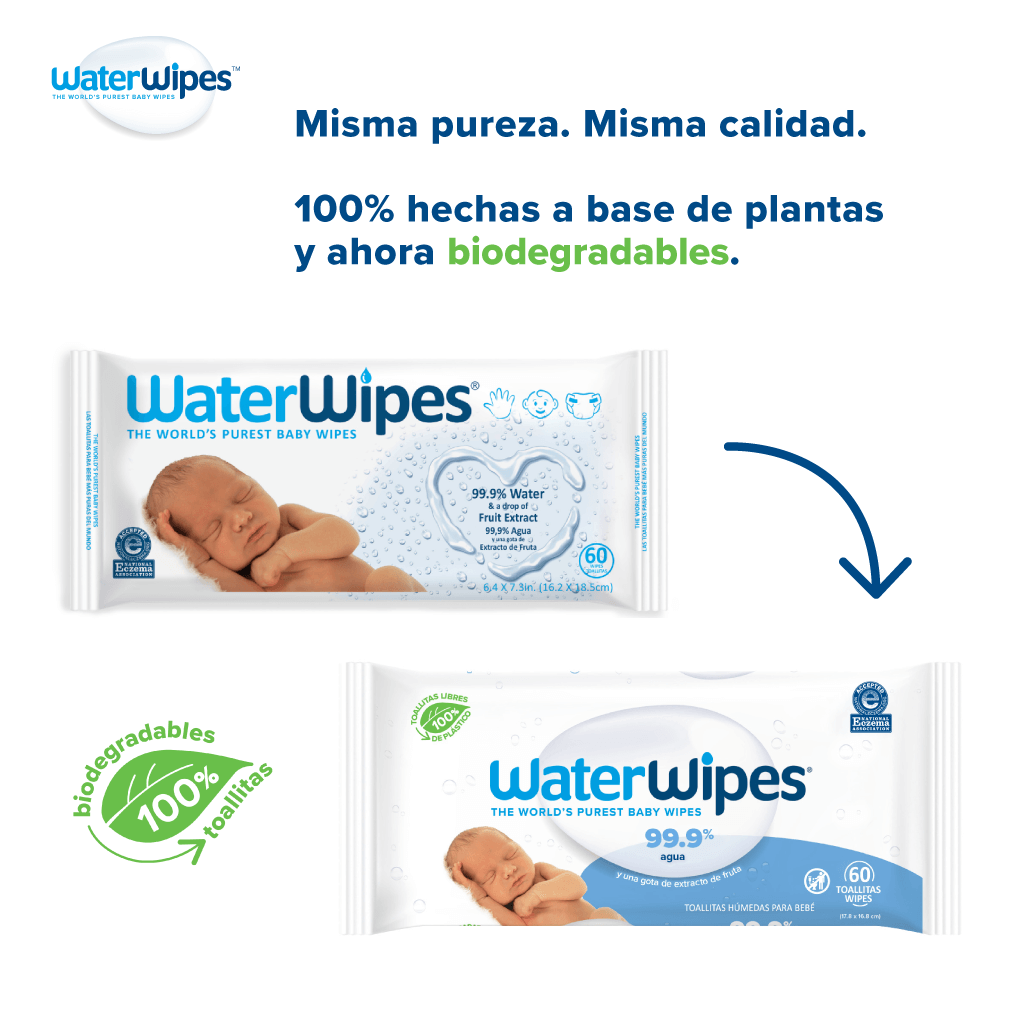 Toallitas Húmedas Para Bebé, Water Wipes de Algodón, Paquete 80 pzas  Premium Bambeco Caja M Toallitas Algodón